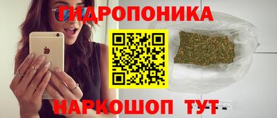 jwh Сланцы