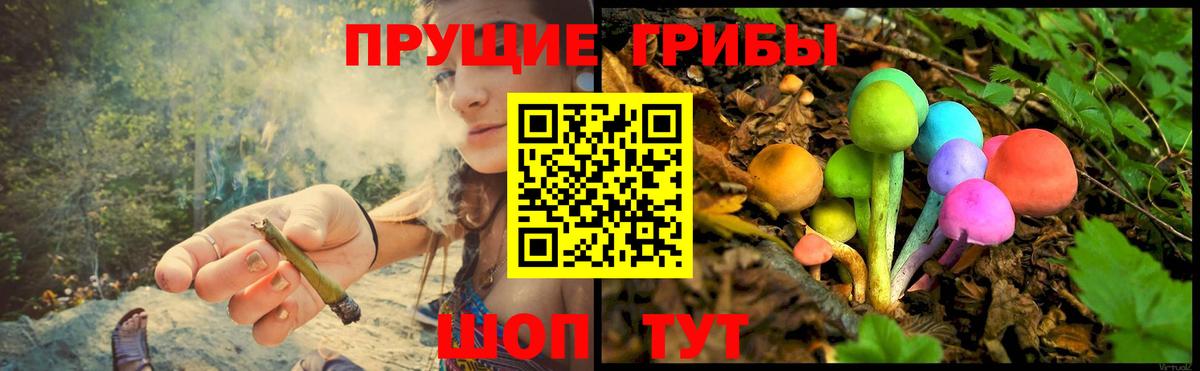 Галлюциногенные грибы прущие грибы Орёл