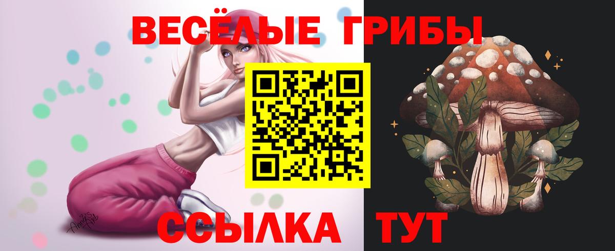 Псилоцибиновые грибы Psilocybine cubensis  Вход с VPN  Орёл 